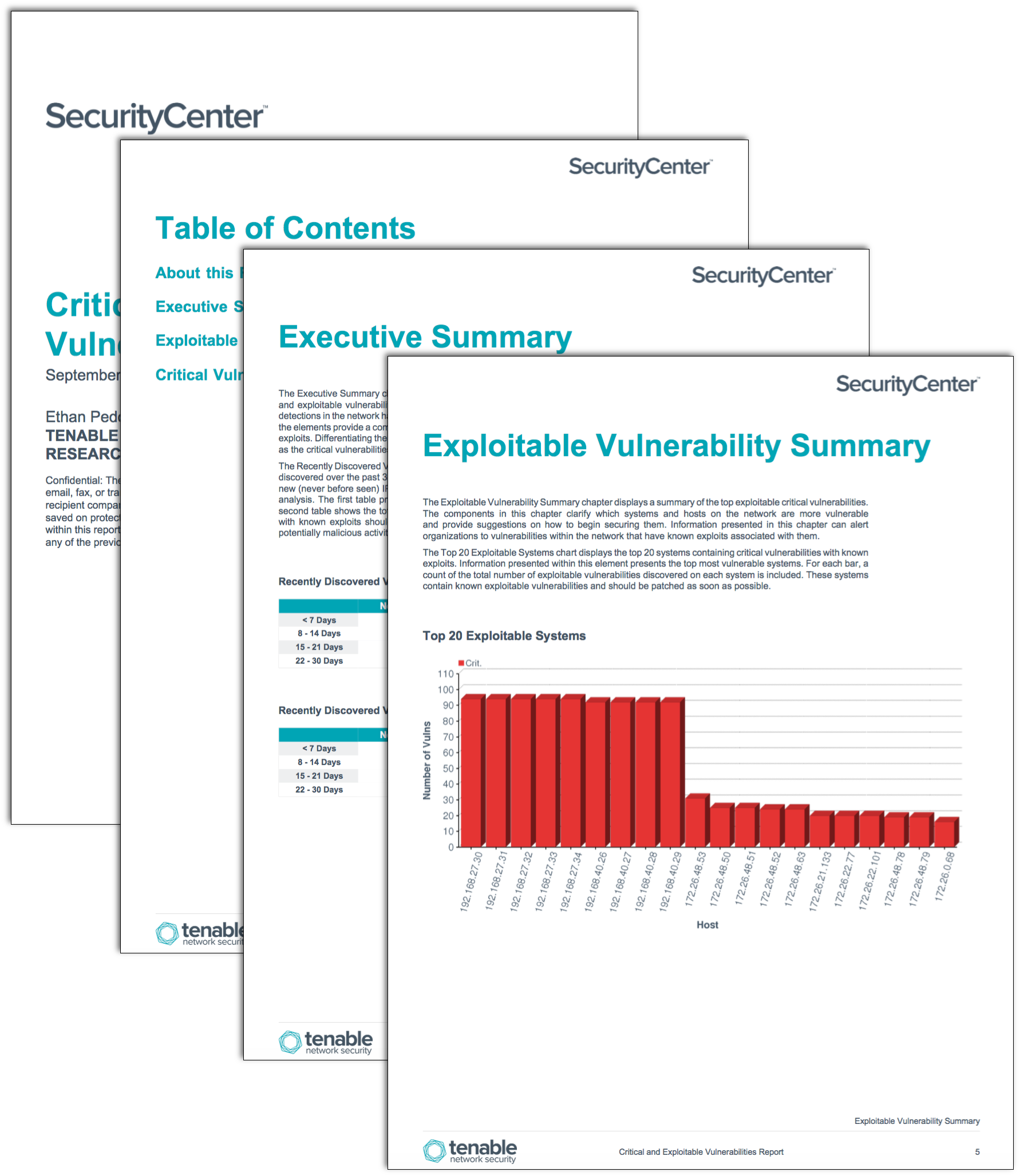 Critical and Exploitable Vulnerabilities Report SC Report Template